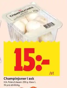 ICA Supermarket CHAMPINJONER I ASK erbjuda