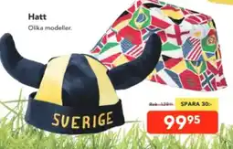 Bo Ohlsson Hatt erbjuda
