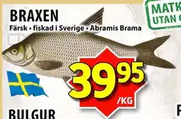 Matvärlden Tensta BRAXEN erbjuda