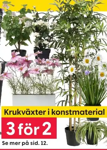 Rusta Krukväxter i konstmaterial erbjuda