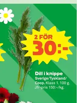 Stora Coop Dill i knippe erbjuda