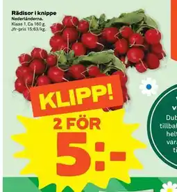 Stora Coop Rädisor i knippe erbjuda