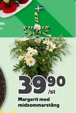 Stora Coop Margerit med midsommarstång erbjuda