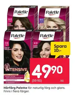 Rusta Hårfärg Palette erbjuda