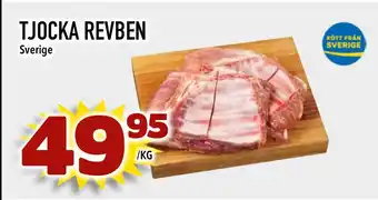 Tjocka revben