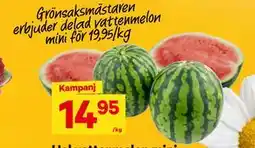 City Gross delad vattenmelon mini erbjuda