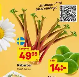 City Gross Rabarber erbjuda