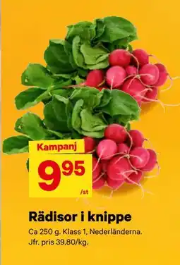 City Gross Rädisor i knippe erbjuda