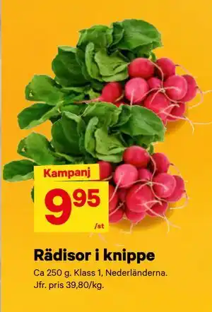 City Gross Rädisor i knippe erbjuda