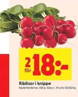 ICA Kvantum Rädisor i knippe erbjuda