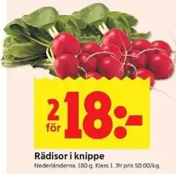 ICA Kvantum Rädisor i knippe erbjuda