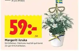 ICA Kvantum Ica Margerit i kruka erbjuda