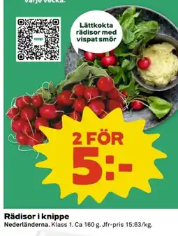 Coop Rädisor i knippe erbjuda
