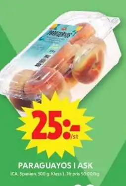 ICA Maxi Ica Paraguayos i ask erbjuda