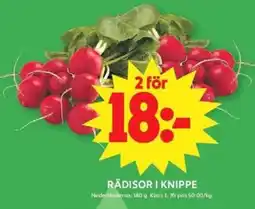 ICA Maxi Rädisor i knippe erbjuda