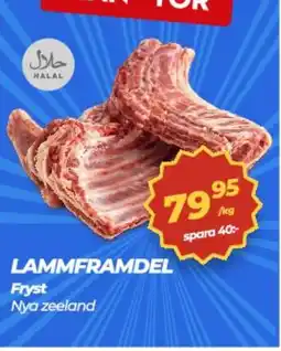Matrix Butikerna Lammframdel erbjuda