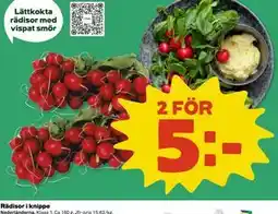 Coop Daglivs Rädisor i knippe erbjuda