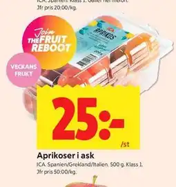 ICA Kvantum Aprikoser i ask erbjuda