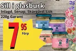 Supergrossen Sill i glasburk erbjuda