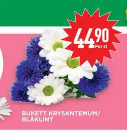 Willys BUKETT KRYSANTEMUM/ BLÅKLINT erbjuda