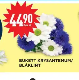 Willys Hemma BUKETT KRYSANTEMUM/ BLÅKLINT erbjuda