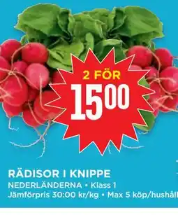 Willys RÄDISOR I KNIPPE erbjuda