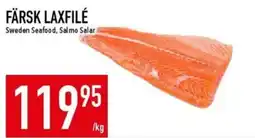 Matdax Färsk laxfilé erbjuda
