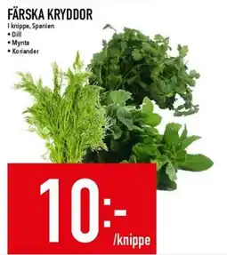 Matdax Färska kryddor erbjuda