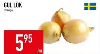 Matdax Gul lök erbjuda