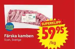 Nya Pulsen SCAN Färska kamben erbjuda