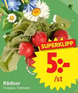 Nya Pulsen Rädisor erbjuda