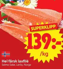 Nya Pulsen Hel färsk laxfilé Salmo erbjuda