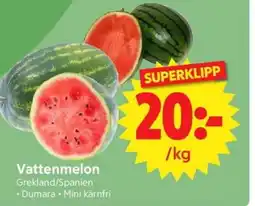 Nya Pulsen Vattenmelon erbjuda