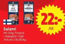 Nya Pulsen HK Salami erbjuda