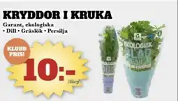 Bonum Matmarknad Garant Kryddor i kruka erbjuda