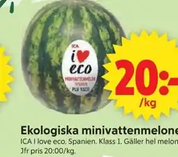 ICA Supermarket ICA Ekologiska minivattenmeloner erbjuda