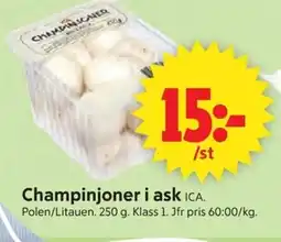 ICA Supermarket ICA Champinjoner i ask erbjuda