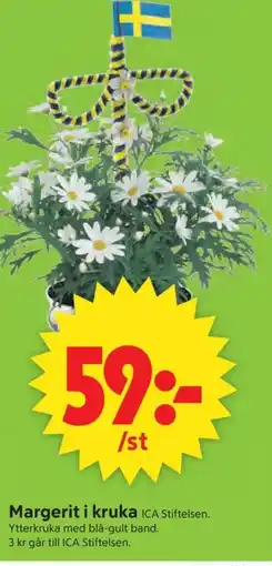 ICA Supermarket Margerit i kruka erbjuda
