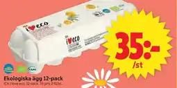 ICA Supermarket ICA Ekologiska ägg 12-pack erbjuda