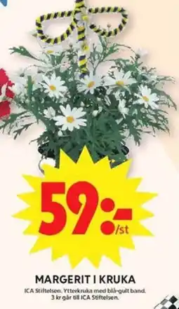 ICA Maxi Ica Margerit i kruka erbjuda