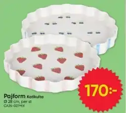 DollarStore Pajform Kotikulta erbjuda