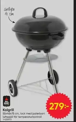 DollarStore Kolgrill erbjuda