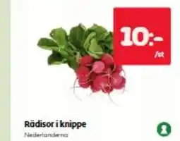 Hemköp Rädisor i knippe erbjuda