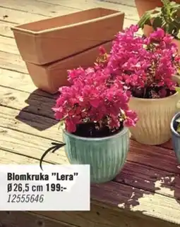 Hornbach Blomkruka "Lera" erbjuda
