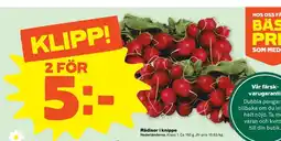 Stora Coop Rädisor i knippe erbjuda