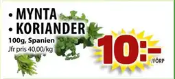 Matvärlden Tensta Mynta • Koriander erbjuda