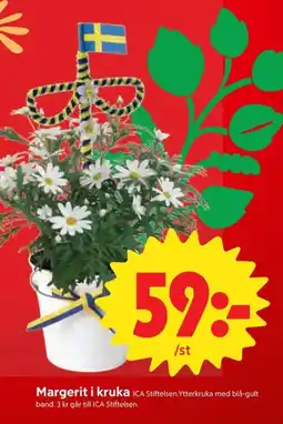 ICA Nära Margerit i kruka erbjuda