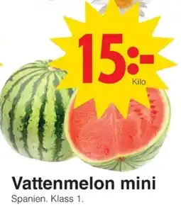 Matöppet Vattenmelon mini erbjuda
