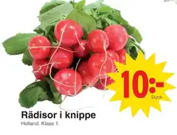 Matöppet Rädisor i knippe erbjuda