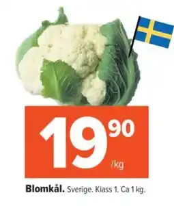 Coop Daglivs Blomkål erbjuda